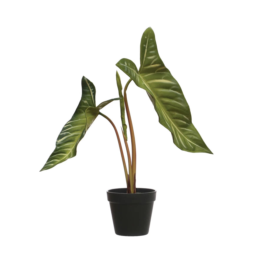 elephant ear silk plant FAUX ELEPHANT EAR PLANT