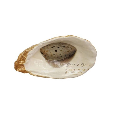 Egg Design decorative shell mini dish