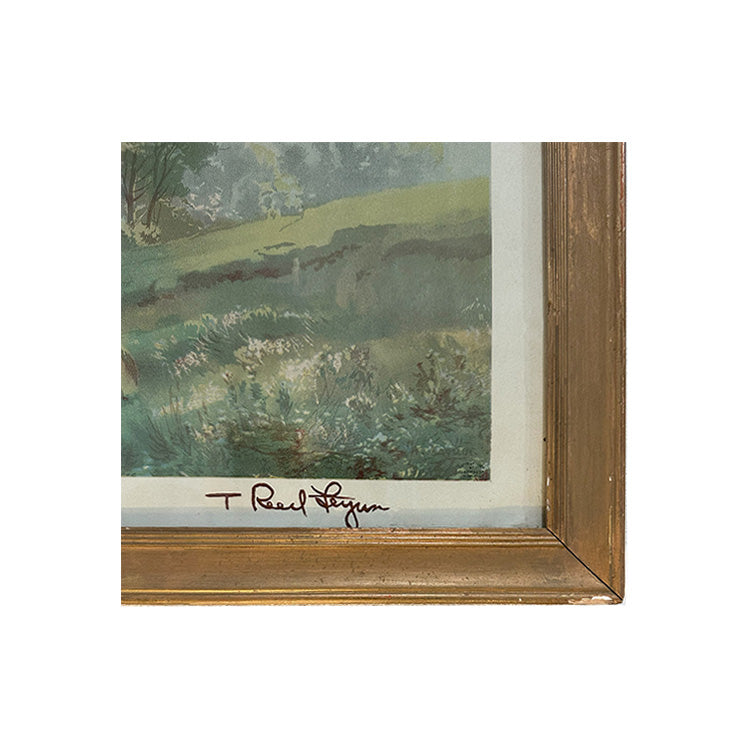 Vintage Framed Cow Print