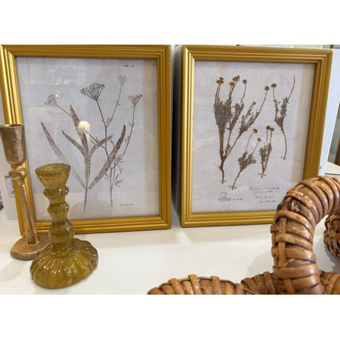 Botanical Framed Art Set of 2