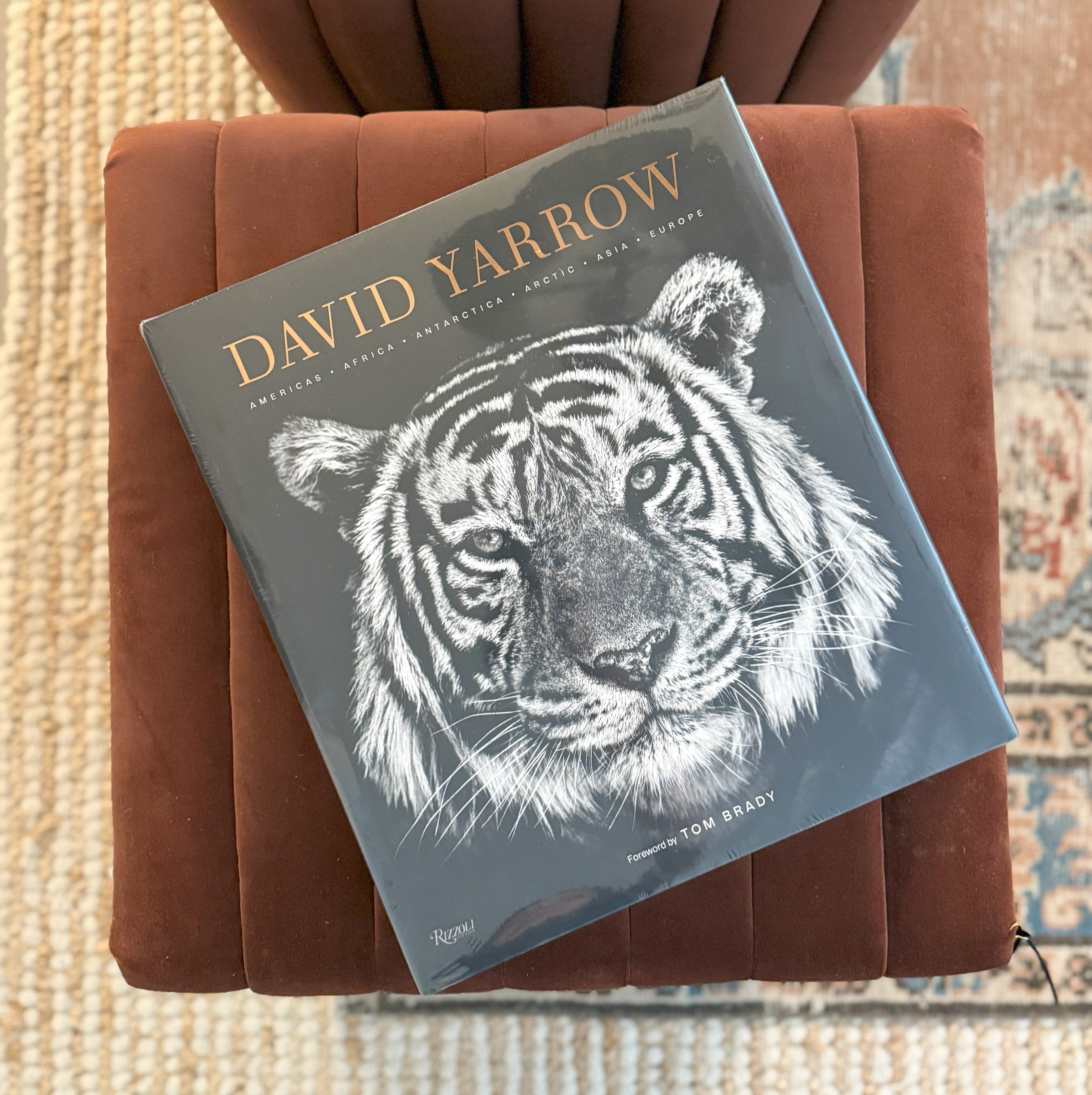 the david yarrow photography book